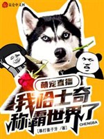 Cute pet live broadcast: My husky dominates the world?