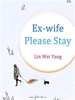 Ex-wife, Please Stay