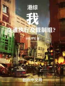 HK Comprehensive: Me, Traffic Enforcement and Control Team?