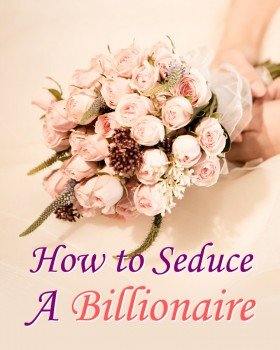 How to Seduce A Billionaire