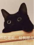 Mr. Cat in Luo Tianyi's family can't get up