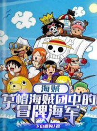 Pirates: The Fake Navy of the Straw Hat Pirates