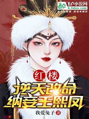 Red Mansion: Defying The Heavens And Changing Fate, Concubine Wang Xifeng