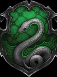 The Last Slytherin