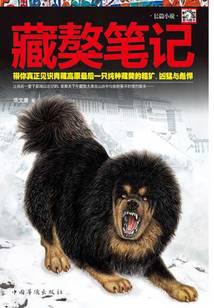 Tibetan Mastiff Notes